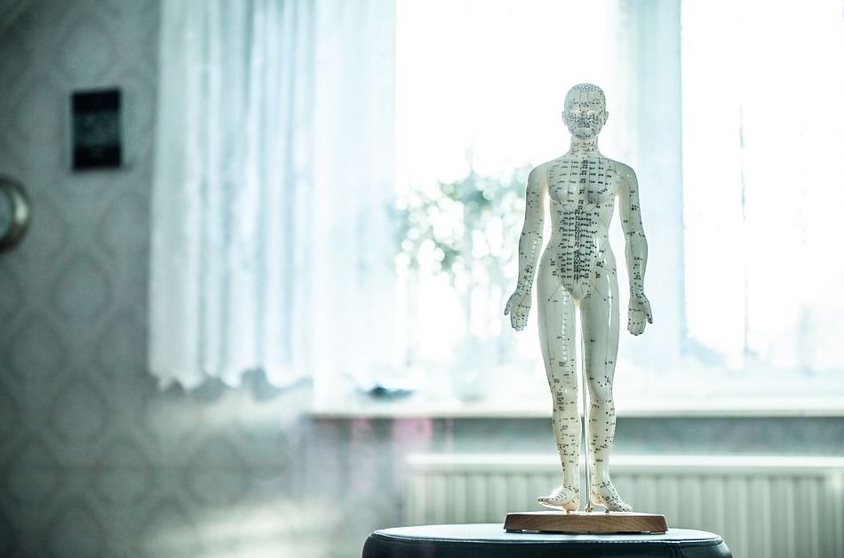 Osteopatía: Servicios de Fisio+ Osteopatía: Servicios de Fisio+