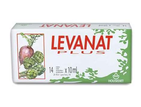 Levanat Plus: Servicios de Naturhouse Levanat Plus: Servicios de Naturhouse