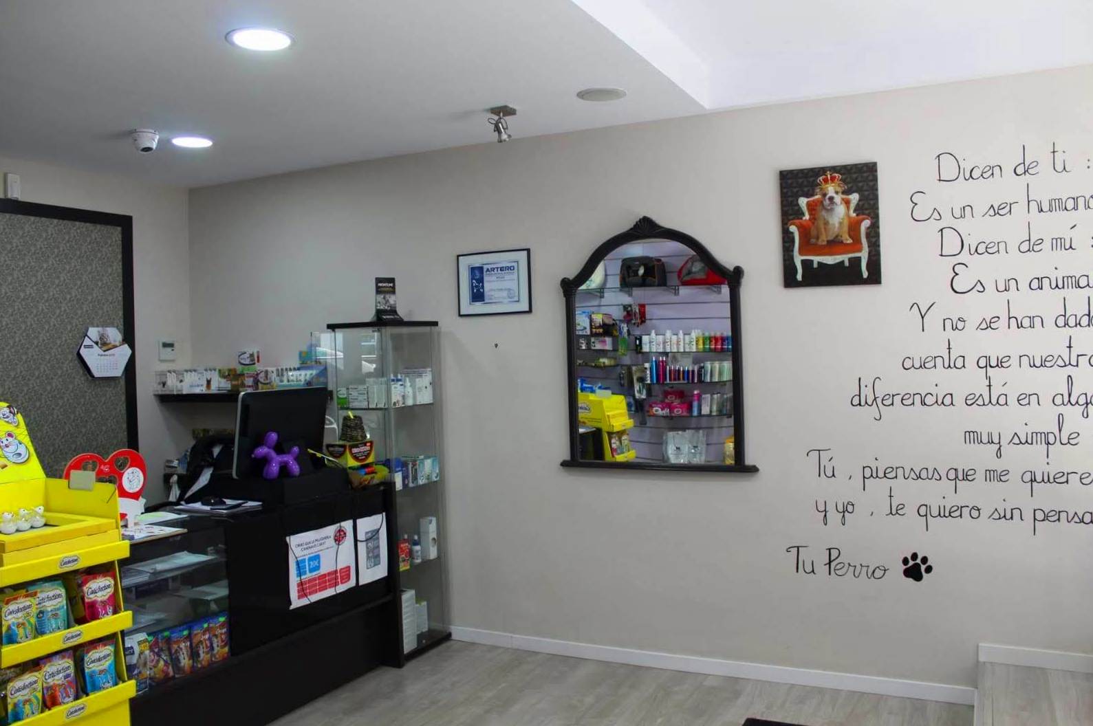 Veterinario en Castelldefels Veterinario en Castelldefels