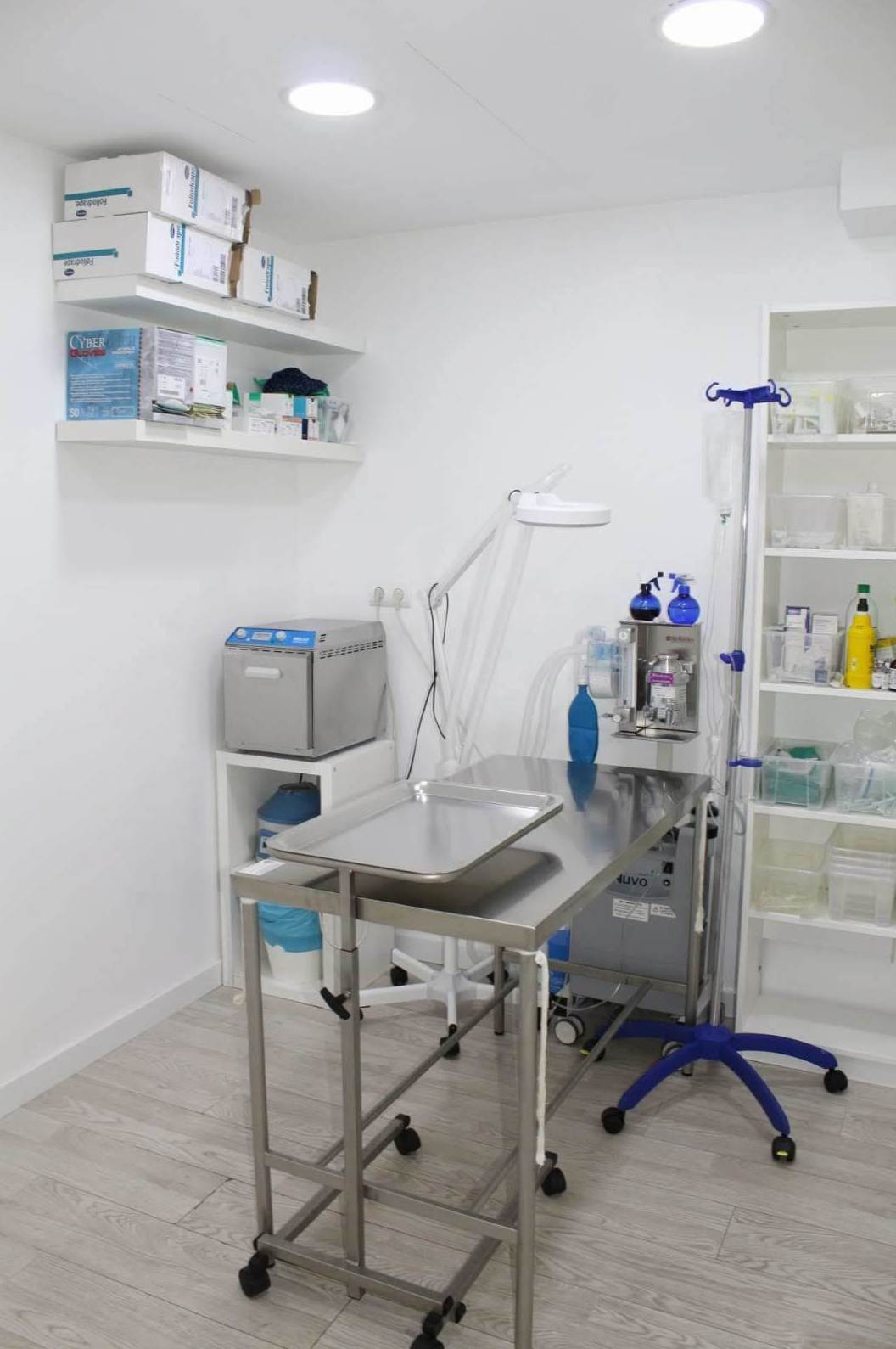Clínica Veterinaria en Castelldefels Clínica Veterinaria en Castelldefels