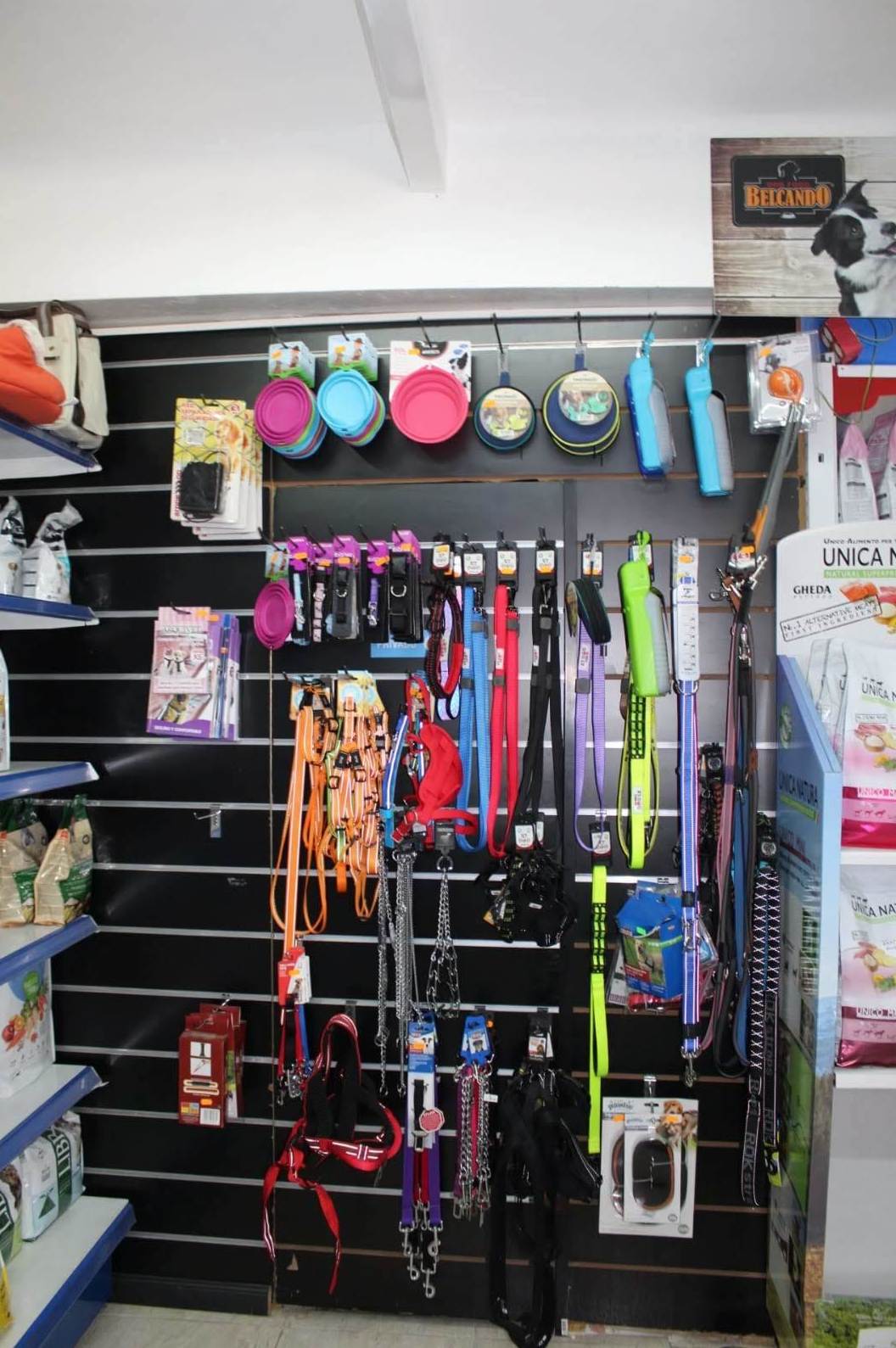 Collares para perros en Castelldefels Collares para perros en Castelldefels