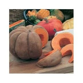 6-CALABAZA MUSQUEE DE PROVENCEE 6-CALABAZA MUSQUEE DE PROVENCEE