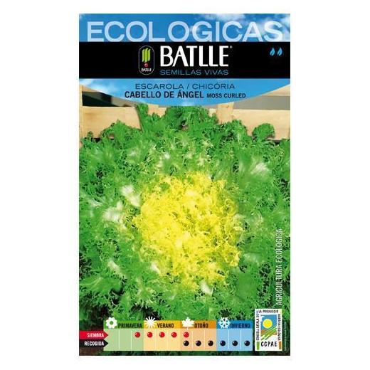 Semillas ecológicas de Escarola cabello de ángel-moss curled Ref 30 Semillas ecológicas de Escarola cabello de ángel-moss curled Ref 30
