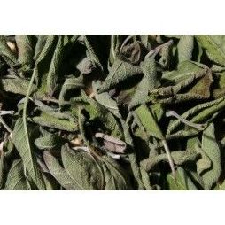Salvia seca Ref 5 Medicinales Salvia seca Ref 5 Medicinales