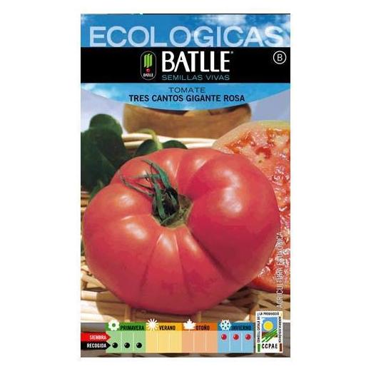 Semillas ecológicas de Tomate tres Cantos gigante rosa Ref.6 Semillas ecológicas de Tomate tres Cantos gigante rosa Ref.6