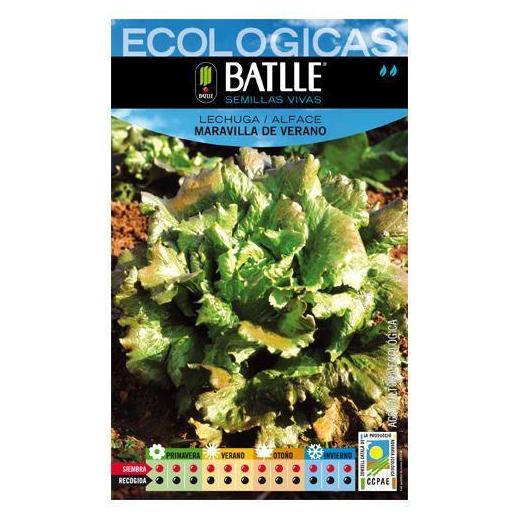 Semillas ecológicas de Lechuga maravilla de verano Ref. 22 Semillas ecológicas de Lechuga maravilla de verano Ref. 22