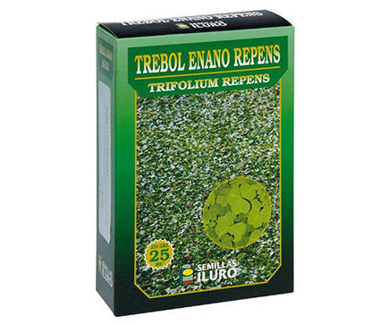 Semillas de césped de flor ( Semilla de césped TRÉBOL ENANO REPENS ) Semillas de césped de flor ( Semilla de césped TRÉBOL ENANO REPENS )