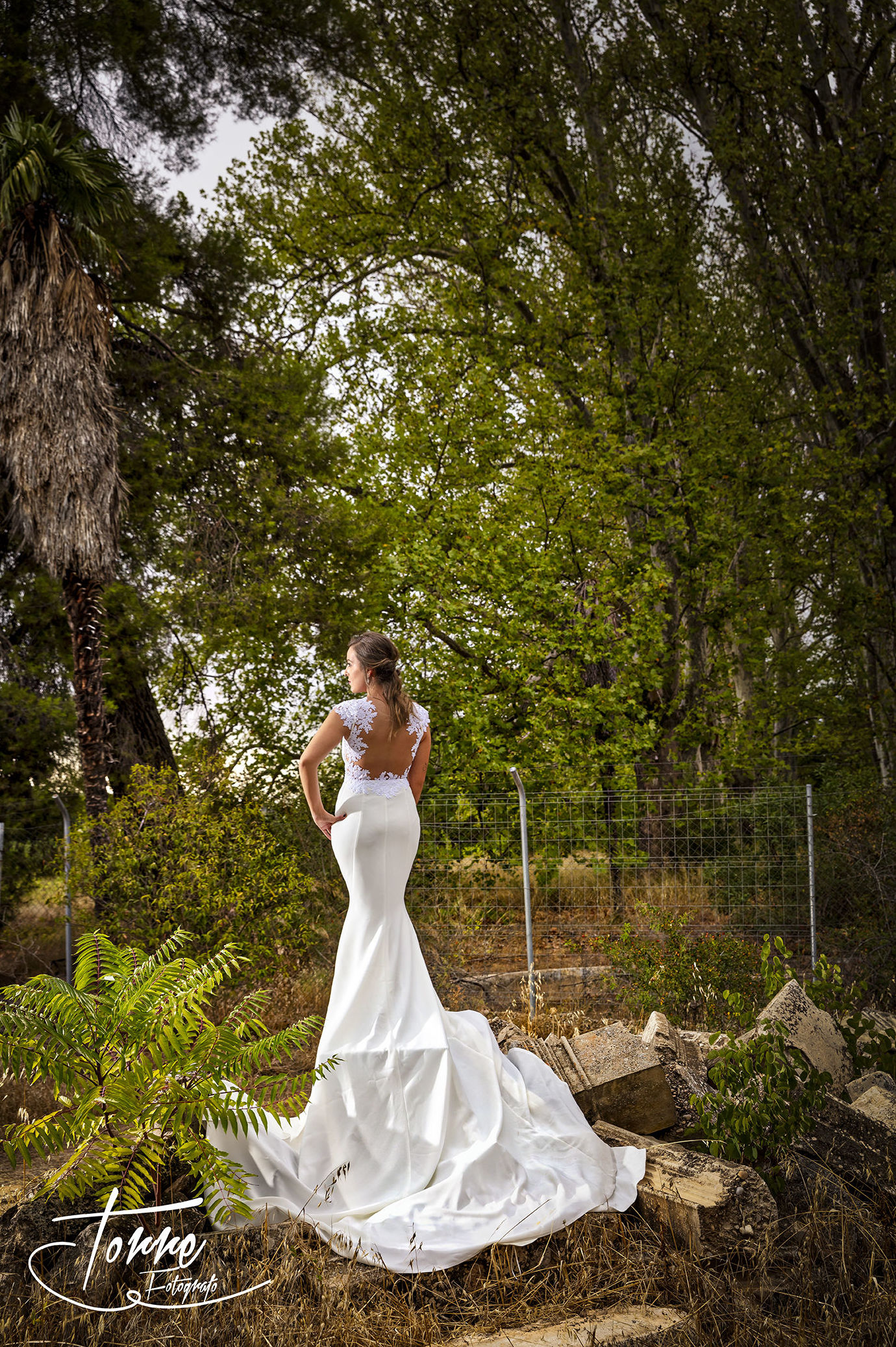Bodas: Servicios de Torre Fotógrafo Bodas: Servicios de Torre Fotógrafo