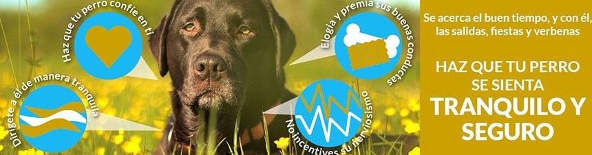Venta de productos ONLINE: Especialidades de Centro Veterinario Veracruz Venta de productos ONLINE: Especialidades de Centro Veterinario Veracruz