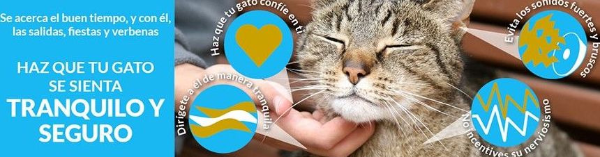 Venta de productos ONLINE: Especialidades de Centro Veterinario Veracruz Venta de productos ONLINE: Especialidades de Centro Veterinario Veracruz