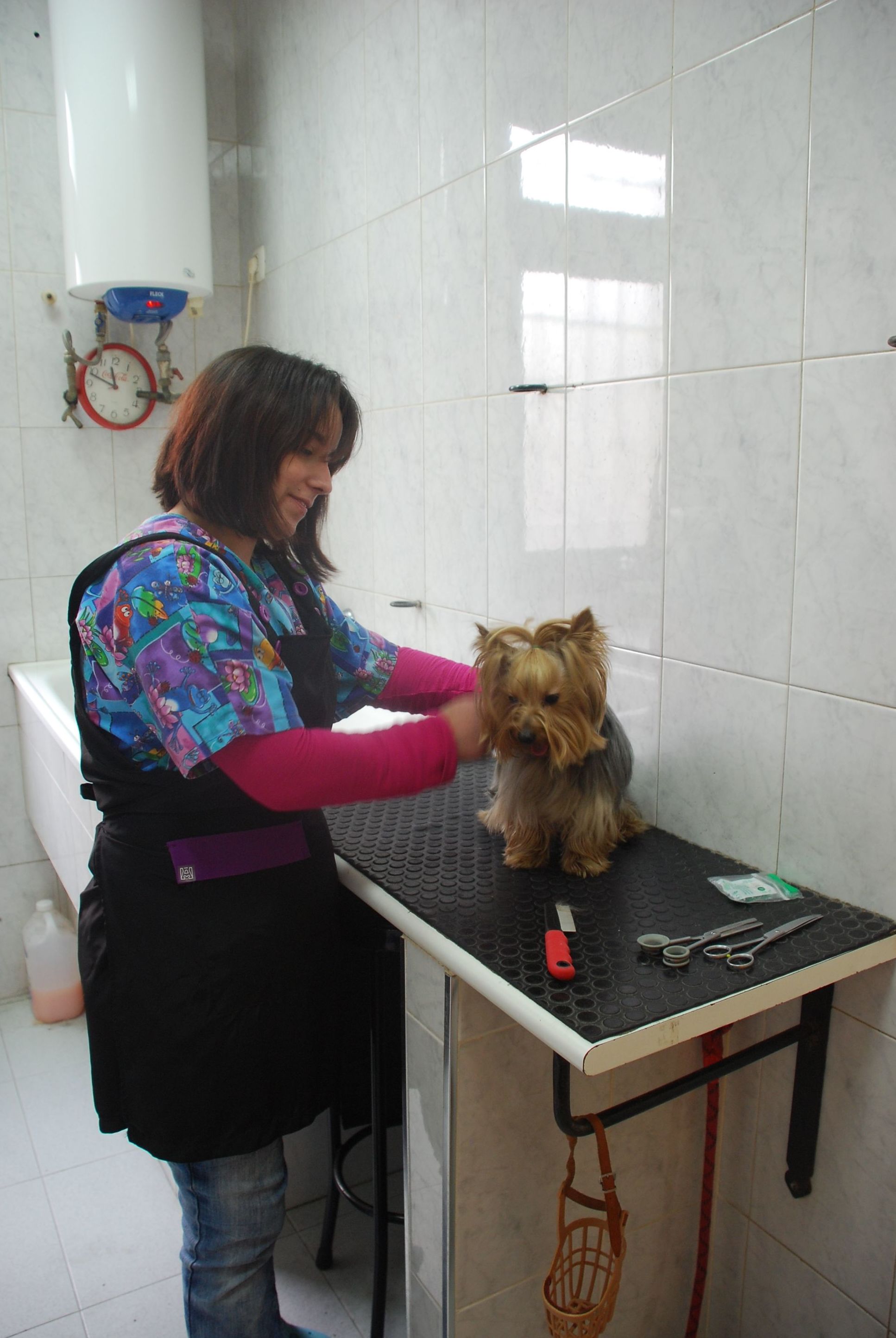 Peluquería canina  Mostoles http://www.veterinariosmostoles.com/es/