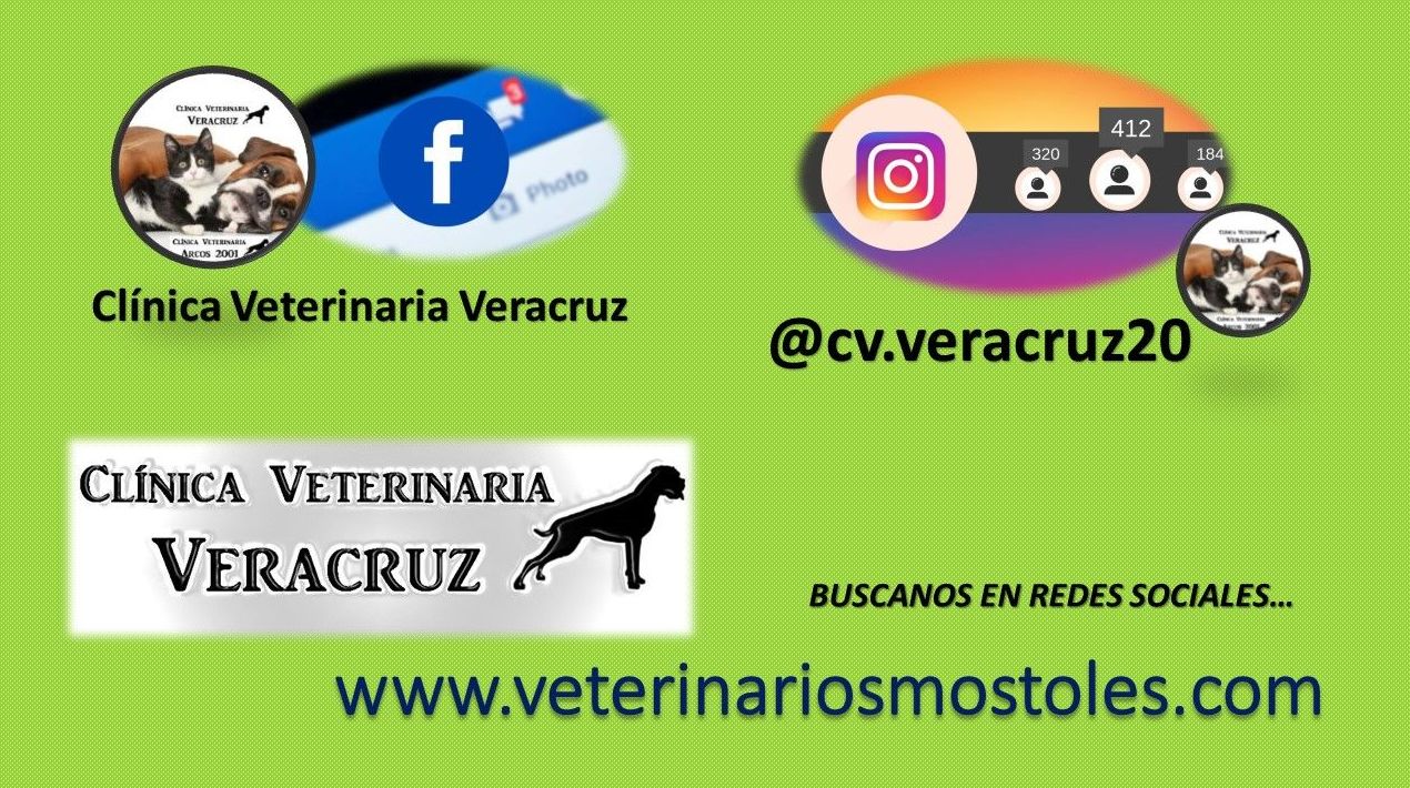 Presencia de la Clínica Veterinaria Veracruz en Redes Sociales