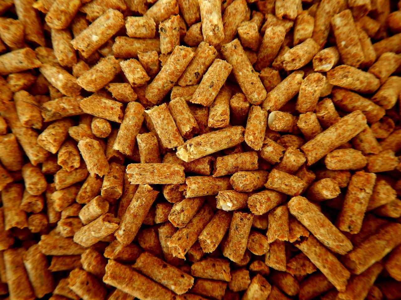 Nuevo servicio de pellet próximamente: Servicios de Estanco Buenavista 45 Nuevo servicio de pellet próximamente: Servicios de Estanco Buenavista 45