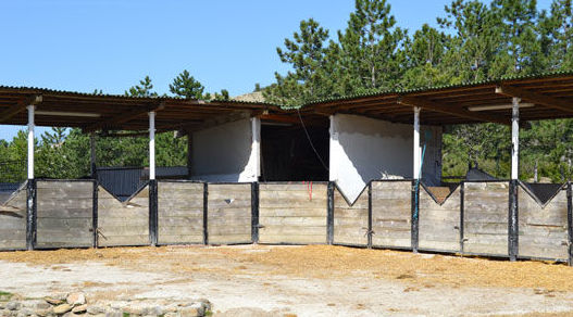 Centro hípico en Navarra