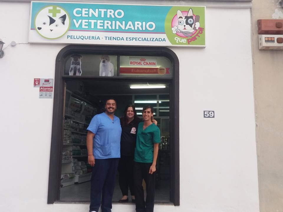 Veterinaria: Servicios de Qué Perro!! Arrecife Veterinaria: Servicios de Qué Perro!! Arrecife