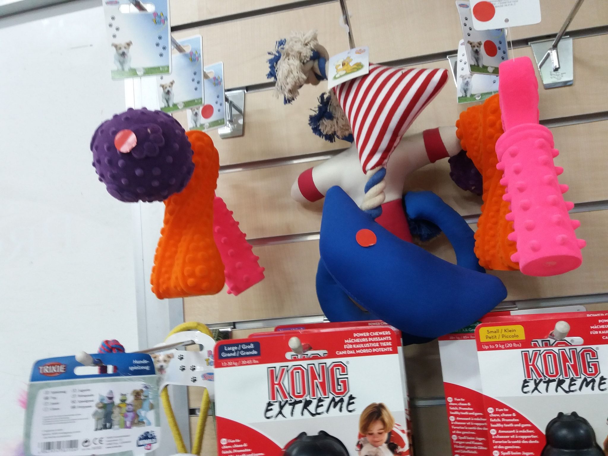 Accesorios: Servicios de Qué Perro!! Arrecife Accesorios: Servicios de Qué Perro!! Arrecife