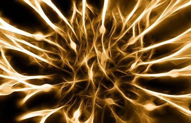 Electromiograma (EMG): Especialidades de Neurología de Lainez Andrés, J.M Electromiograma (EMG): Especialidades de Neurología de Lainez Andrés, J.M