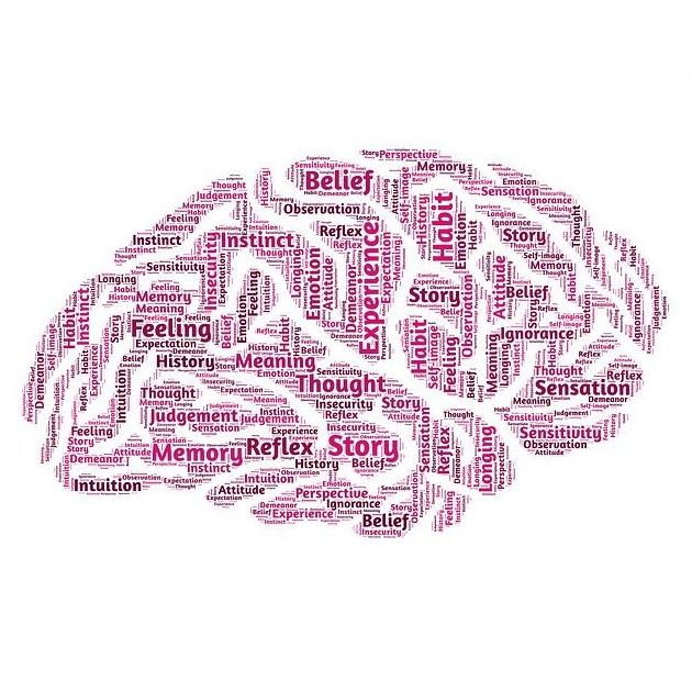 Distintos tratamientos: Especialidades de Neurología de Lainez Andrés, J.M Distintos tratamientos: Especialidades de Neurología de Lainez Andrés, J.M