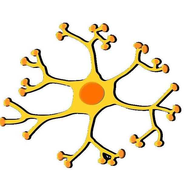 Pacientes afectados de fibromialgia: Especialidades de Neurología de Lainez Andrés, J.M Pacientes afectados de fibromialgia: Especialidades de Neurología de Lainez Andrés, J.M