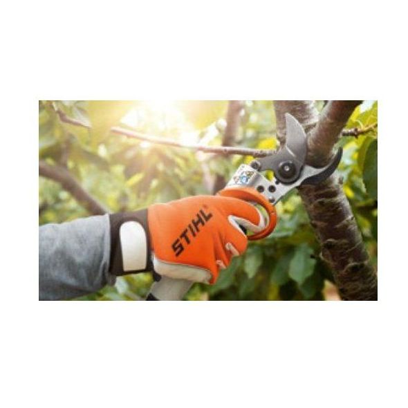 Tijeras de poda de batería: Servicios de Maquinaria Gallardo Rubio Tijeras de poda de batería: Servicios de Maquinaria Gallardo Rubio