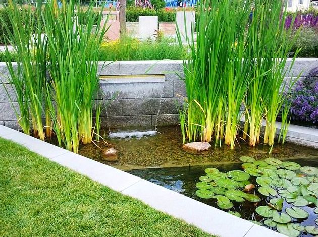 mantenimiento de jardines Cantabria mantenimiento de jardines Cantabria