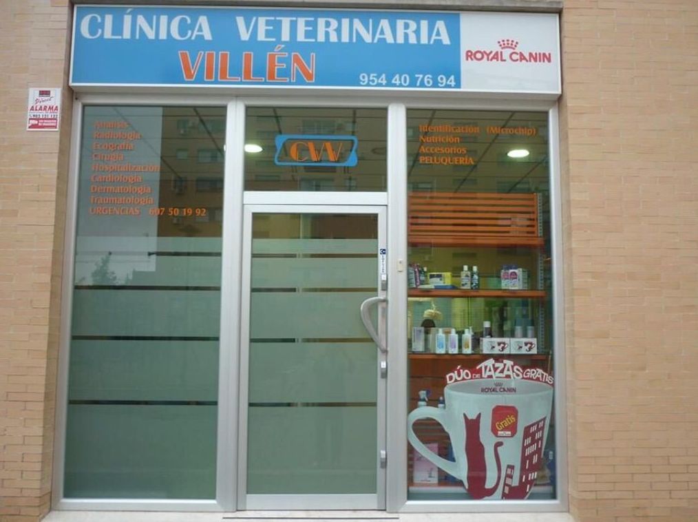 Foto 1 de Veterinarios en Sevilla | Clínica Veterinaria Villén