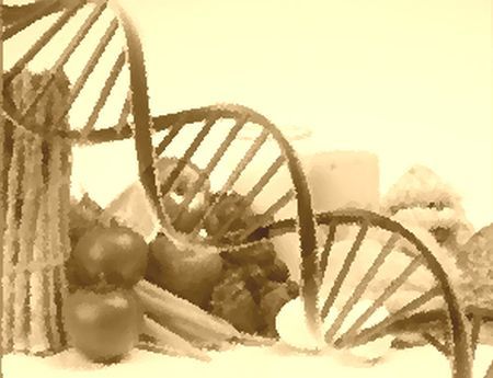 Test nutrigenético: Servicios de Farmacia Cristina de Diego Martínez Test nutrigenético: Servicios de Farmacia Cristina de Diego Martínez