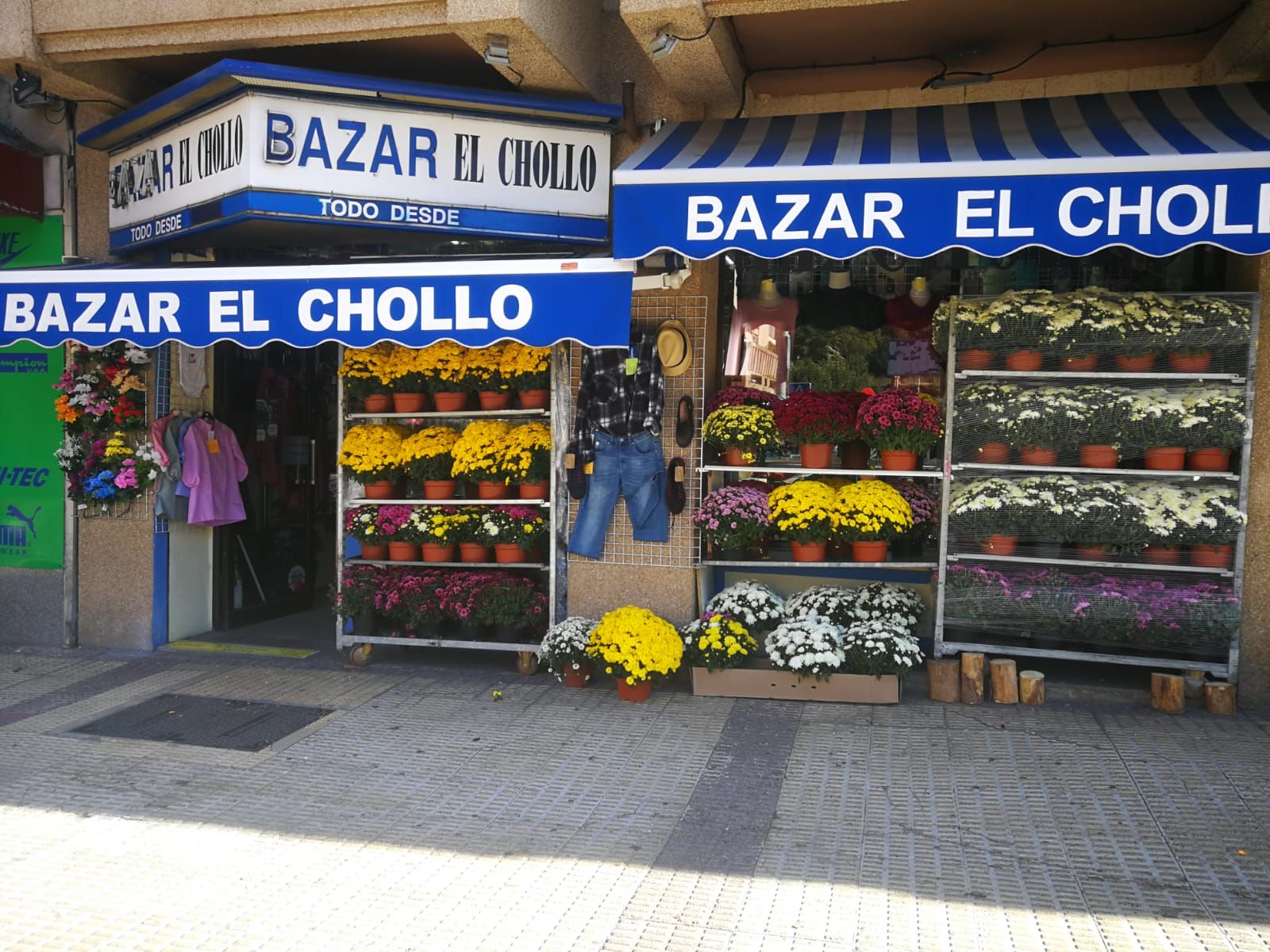 Campaña de Los Santos: Servicios de Bazar el chollo Campaña de Los Santos: Servicios de Bazar el chollo