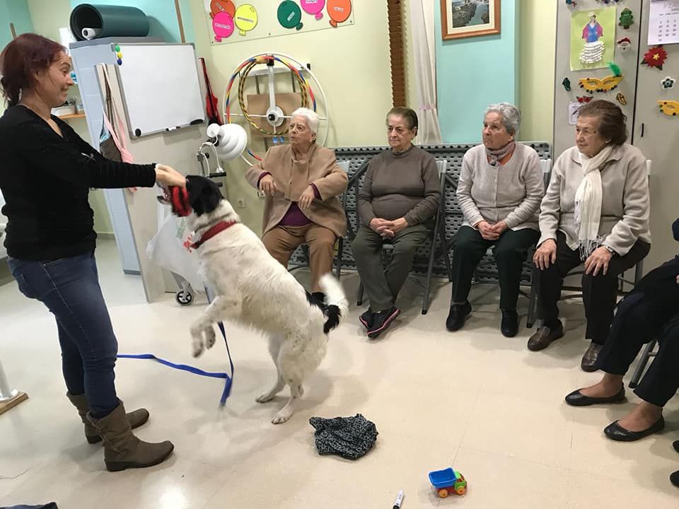 Centro para mayores con terapia con aimales