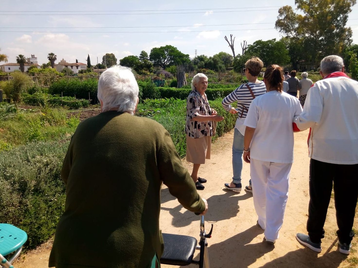 Actividades culturales