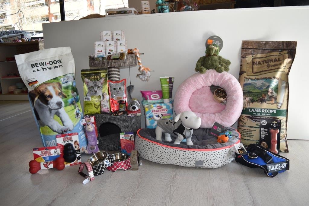 Accesorios para mascotas: Servicios Veterinarios de Kan's&co Clínica Veterinària Accesorios para mascotas: Servicios Veterinarios de Kan's&co Clínica Veterinària