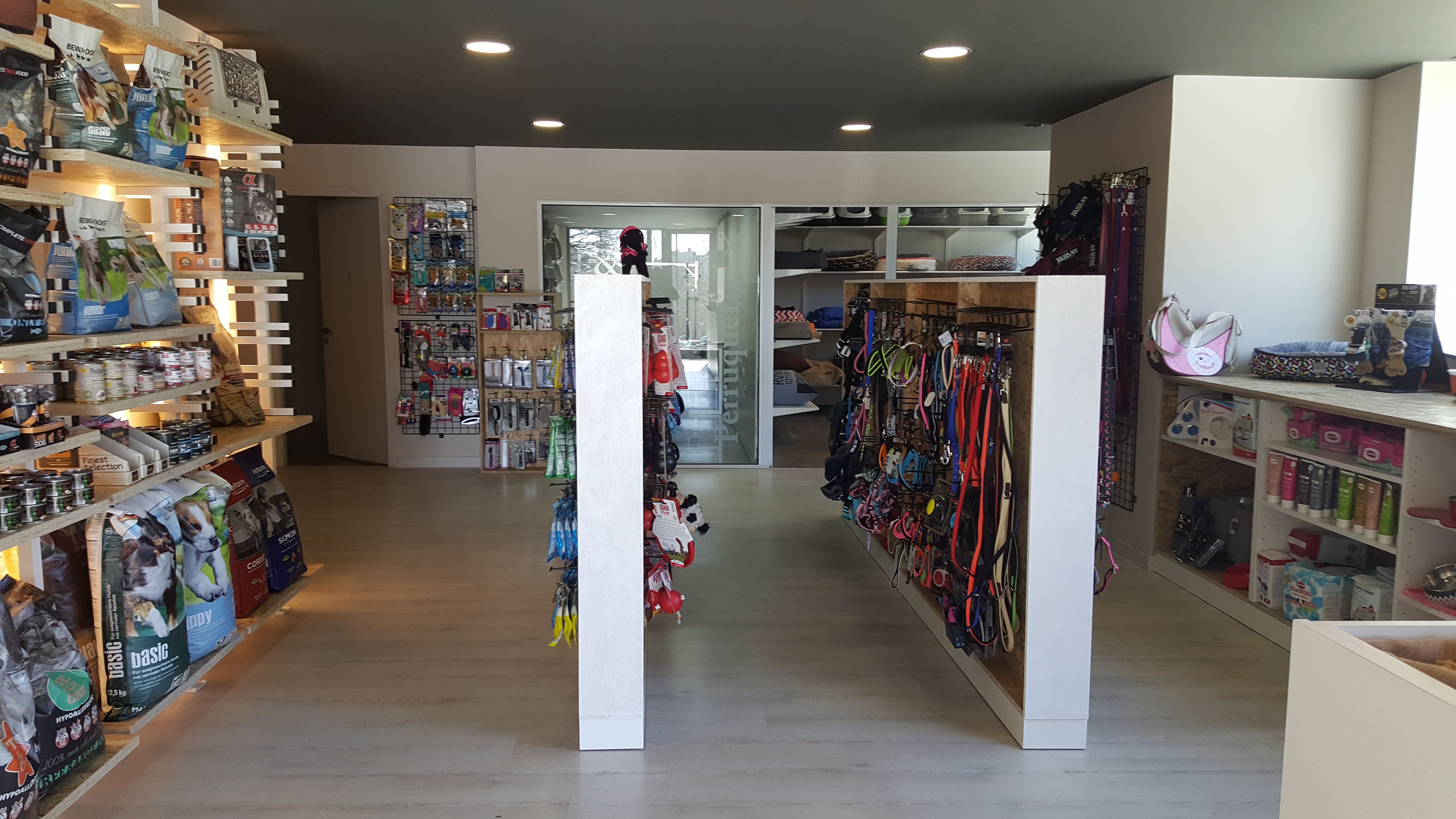 Accesorios para mascotas: Servicios Veterinarios de Kan's&co Clínica Veterinària Accesorios para mascotas: Servicios Veterinarios de Kan's&co Clínica Veterinària