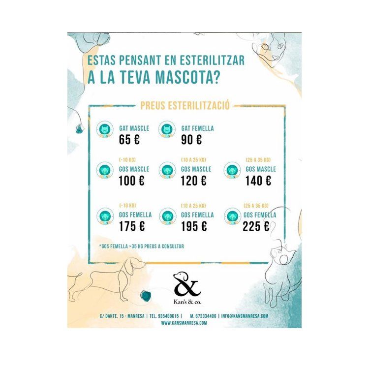 Campaña de esterilización: Servicios Veterinarios de Kan's&co Clínica Veterinària Campaña de esterilización: Servicios Veterinarios de Kan's&co Clínica Veterinària