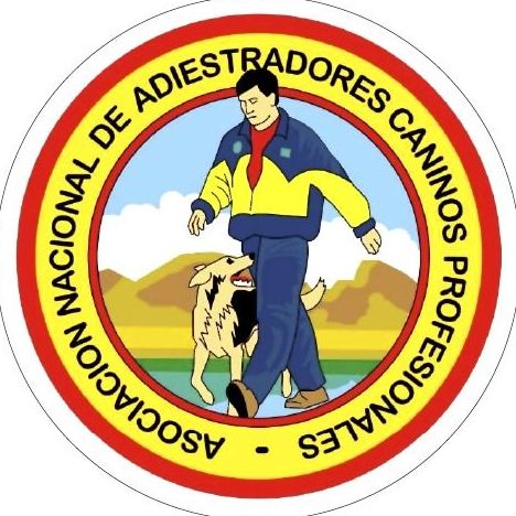 Educación y adiestramiento canino: Productos y servicios de Happy Mascotas Aguadulce Educación y adiestramiento canino: Productos y servicios de Happy Mascotas Aguadulce