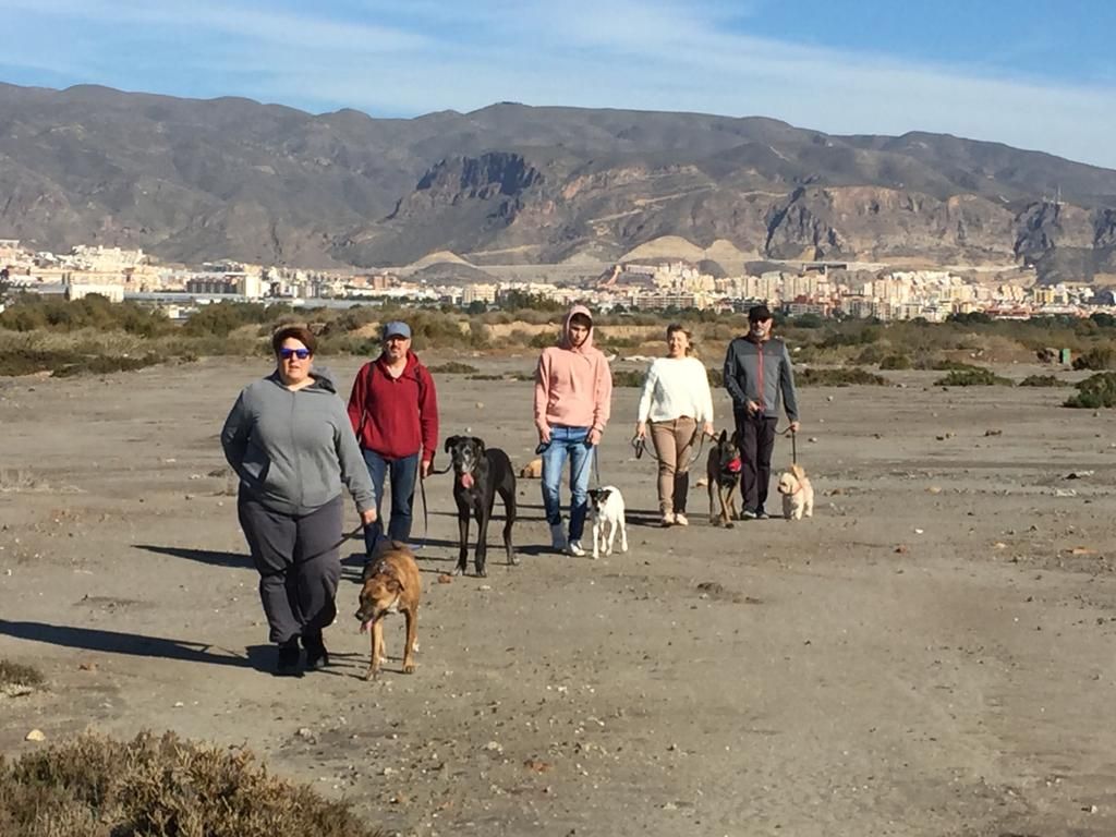Educación y adiestramiento canino: Productos y servicios de Happy Mascotas Aguadulce Educación y adiestramiento canino: Productos y servicios de Happy Mascotas Aguadulce