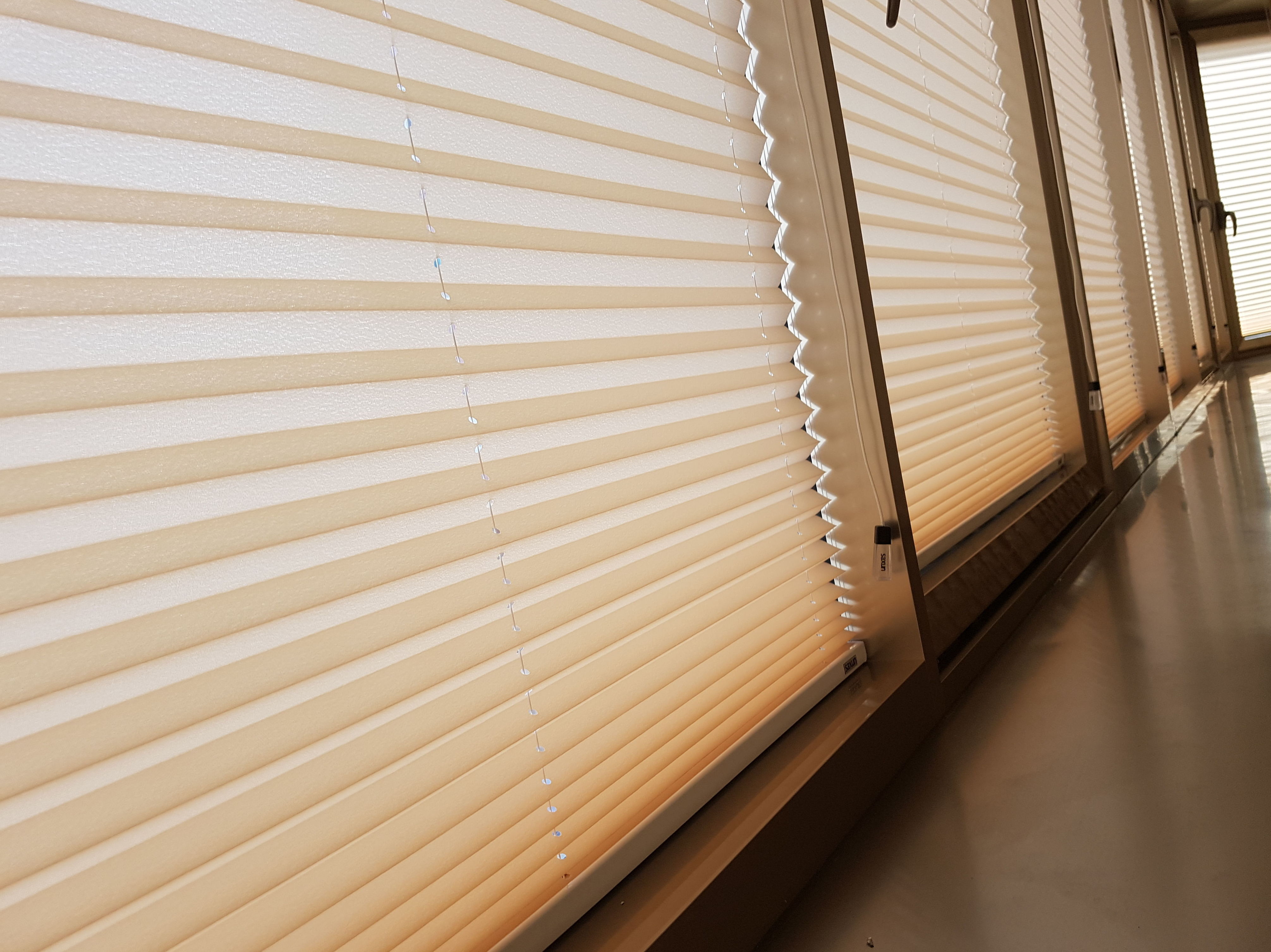 cortinas plisadas cortinas plisadas