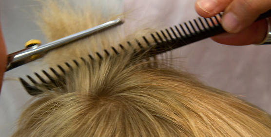 Corte de señora: Peluquería y estética de Belleza Integral 10 Corte de señora: Peluquería y estética de Belleza Integral 10