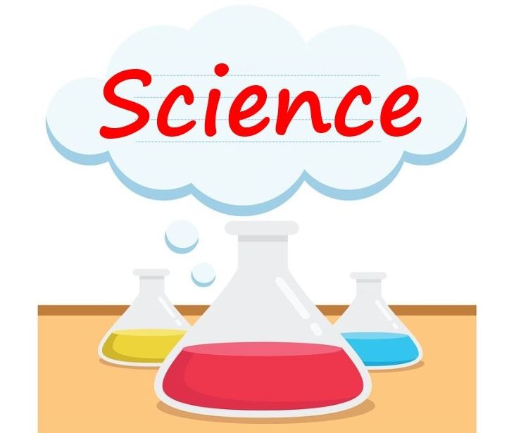 SCIENCE FOR PRIMARY. "SCIENCE" PARA NIÑOS: Cursos de Oxford School of English SCIENCE FOR PRIMARY. "SCIENCE" PARA NIÑOS: Cursos de Oxford School of English