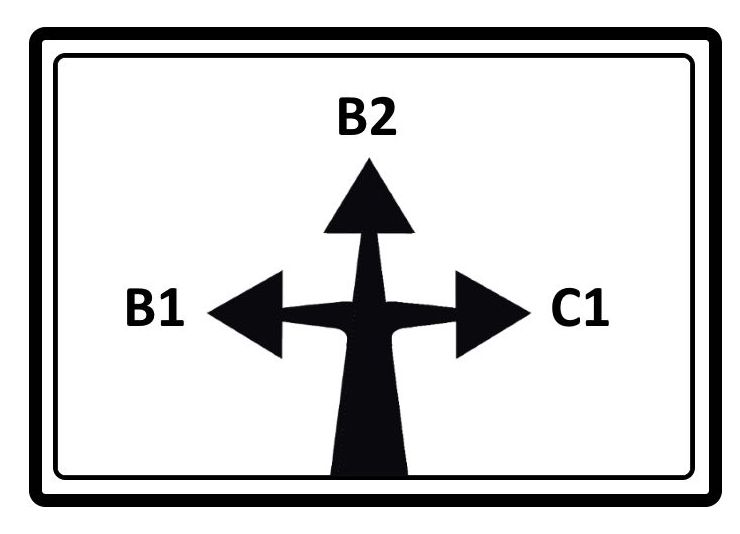 INTENSIVE EXAM COURSE: CAMBRIDGE B1, B2, C1: Cursos de Oxford School of English INTENSIVE EXAM COURSE: CAMBRIDGE B1, B2, C1: Cursos de Oxford School of English