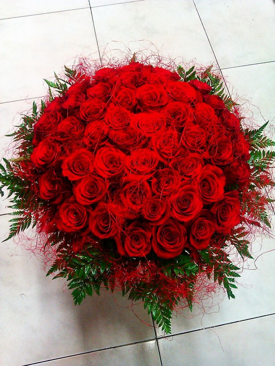 Rosas: Servicios de Ixora Floristas Rosas: Servicios de Ixora Floristas