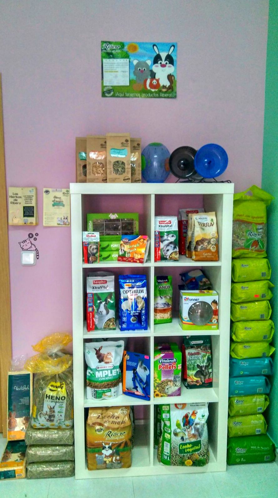 Nuestra Tienda: Servicios de Orejotas Nuestra Tienda: Servicios de Orejotas