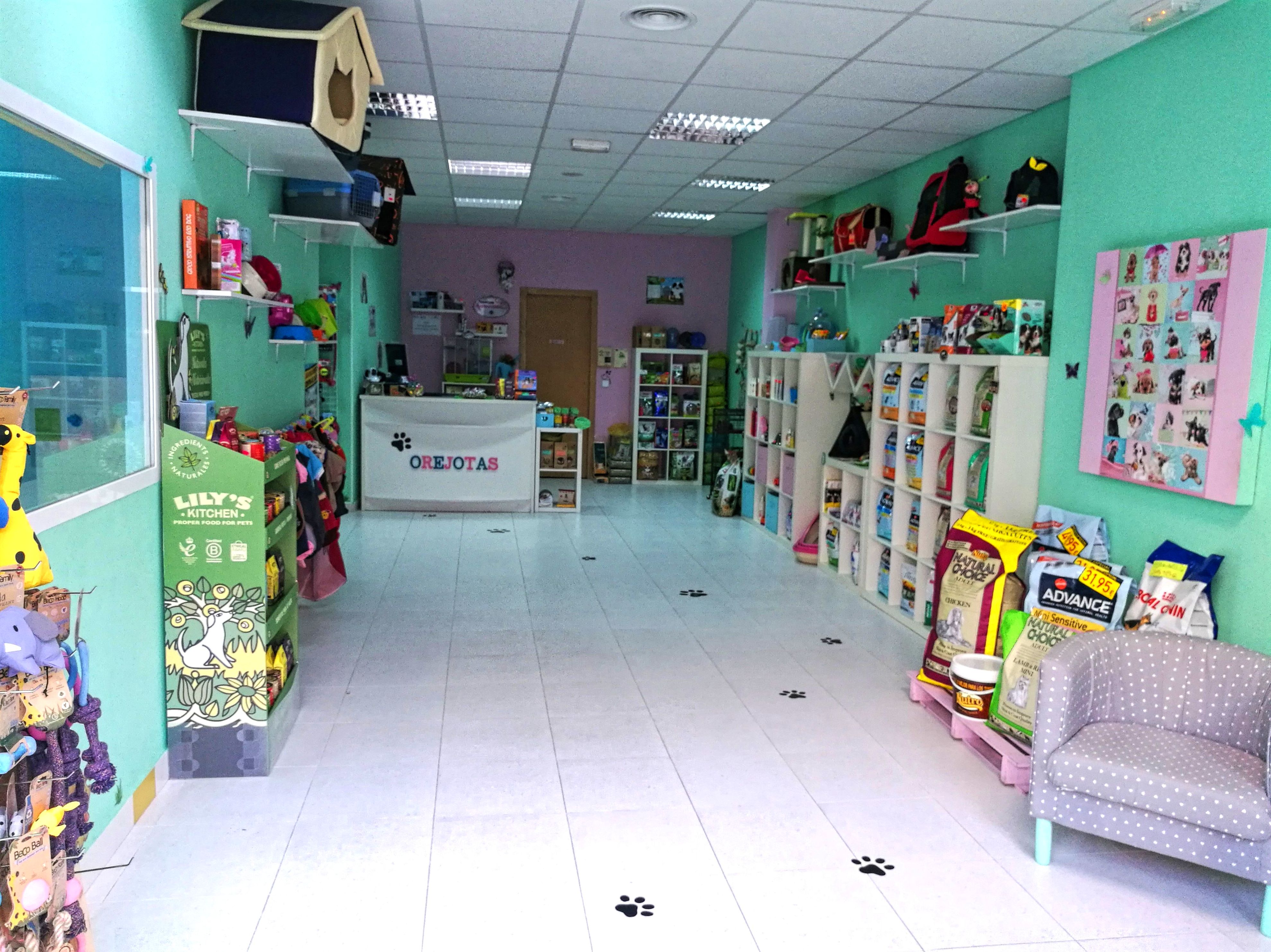 Nuestra Tienda: Servicios de Orejotas Nuestra Tienda: Servicios de Orejotas