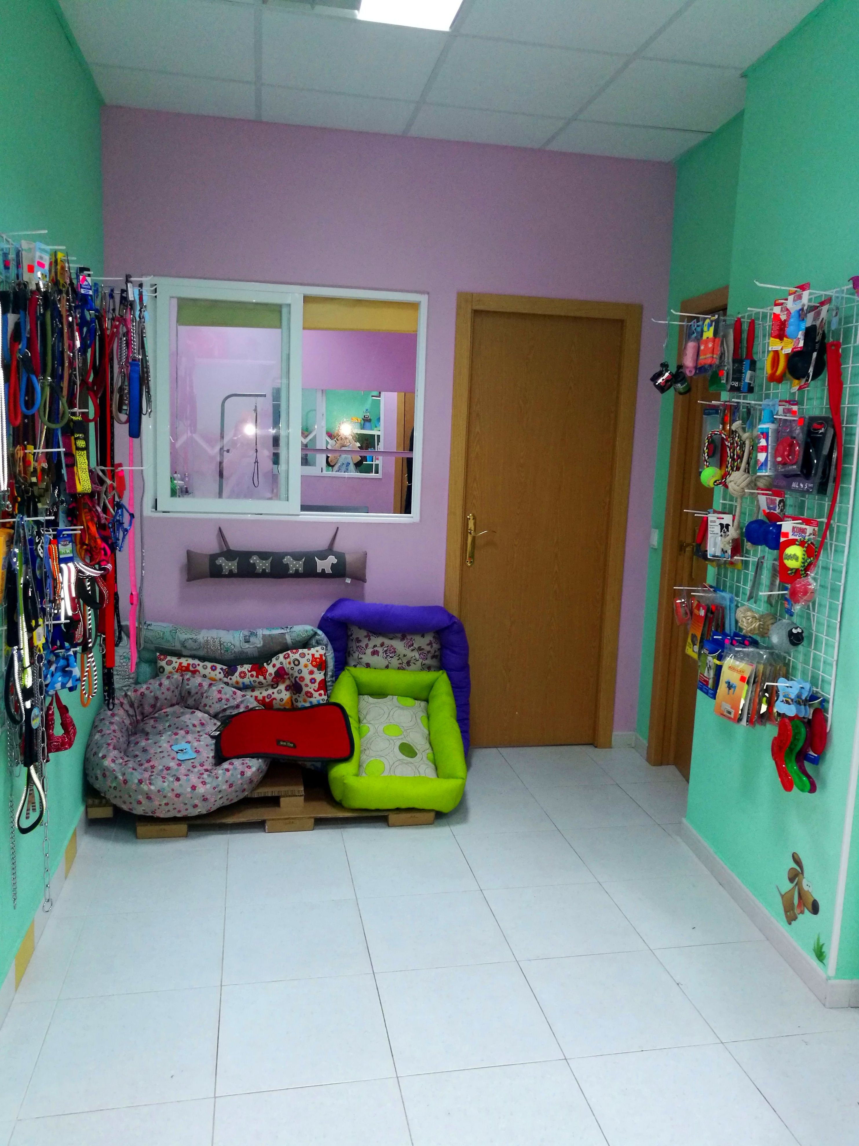 Nuestra Tienda: Servicios de Orejotas Nuestra Tienda: Servicios de Orejotas