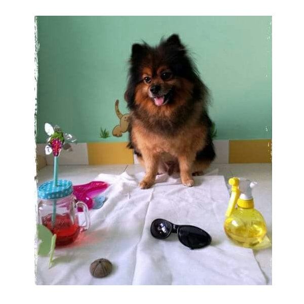 Guardería para la Peluquería Guardería para la Peluquería