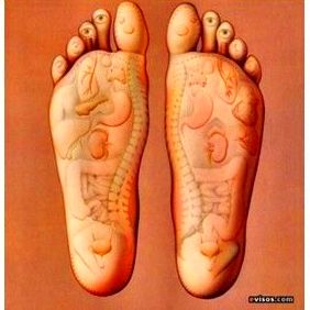 Reflexologia Podal Reflexologia Podal