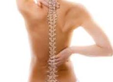 Columna Vertebral con tratamiento de Reiki Columna Vertebral con tratamiento de Reiki