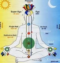 Chakras sistema Kundalini Chakras sistema Kundalini