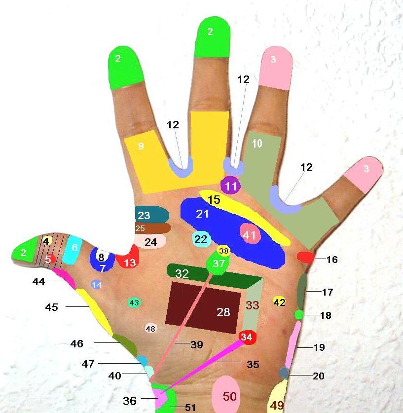 Mapa de Reflexologia en las manos Mapa de Reflexologia en las manos
