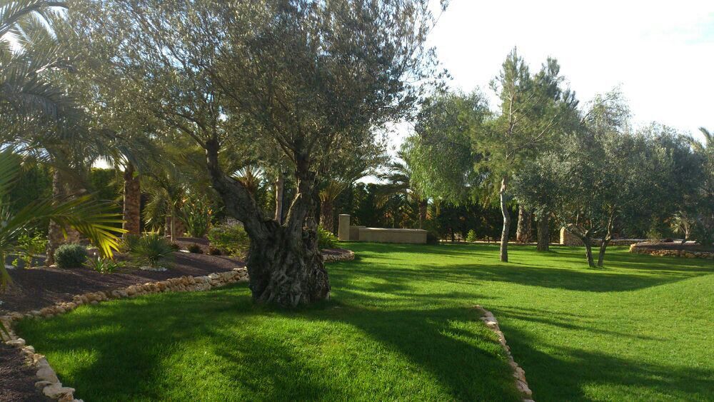 Césped artificial: Servicios de Jardinería Pozo Césped artificial: Servicios de Jardinería Pozo