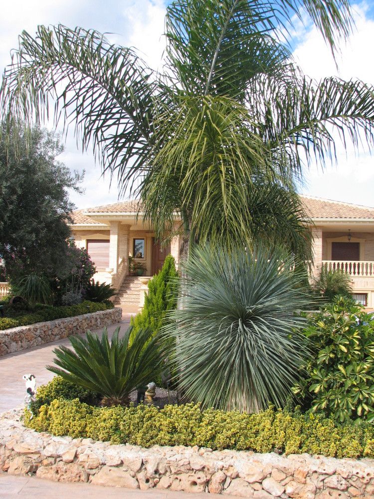 Mantenimiento de jardines: Servicios de Jardinería Pozo Mantenimiento de jardines: Servicios de Jardinería Pozo